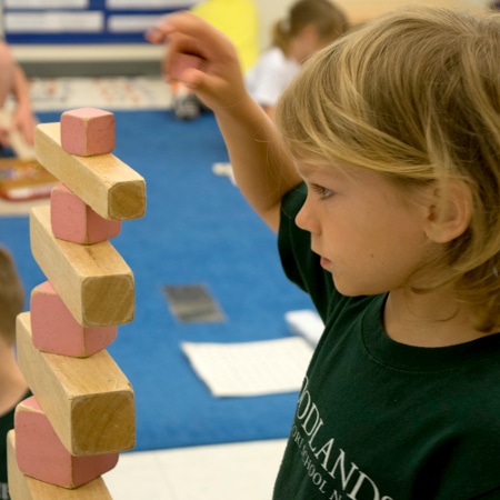 Primary Program (3-6 years)